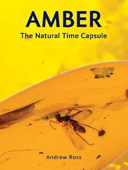 Amber a natural time capsule